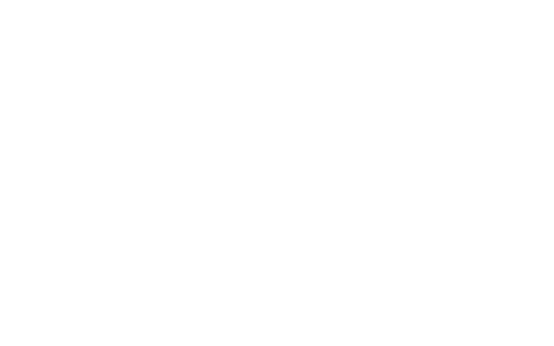 SeguridadSi Logo